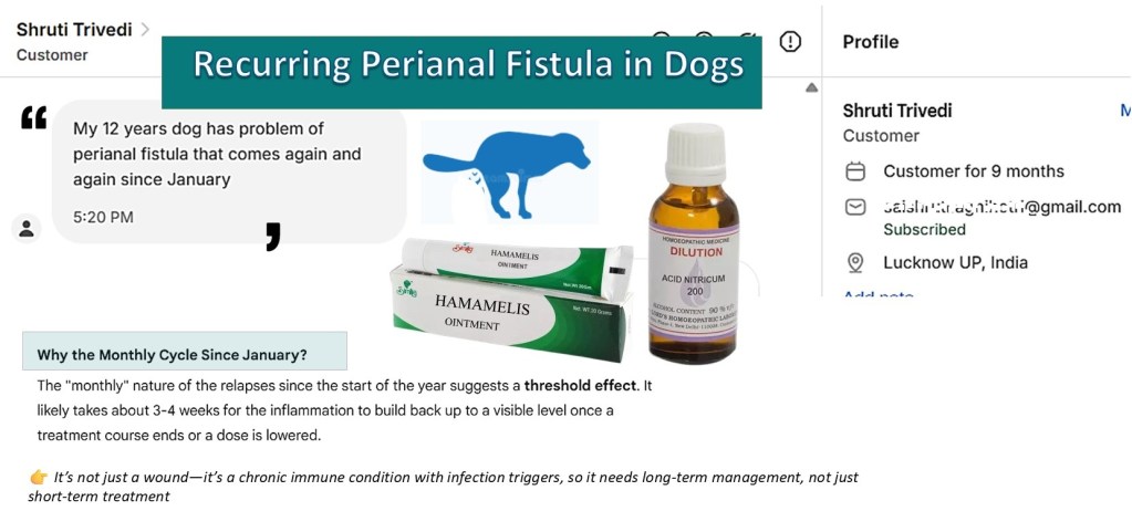 Recurrent Perianal Fistula in Dogs: Guidelines, Homeopathy Remedies